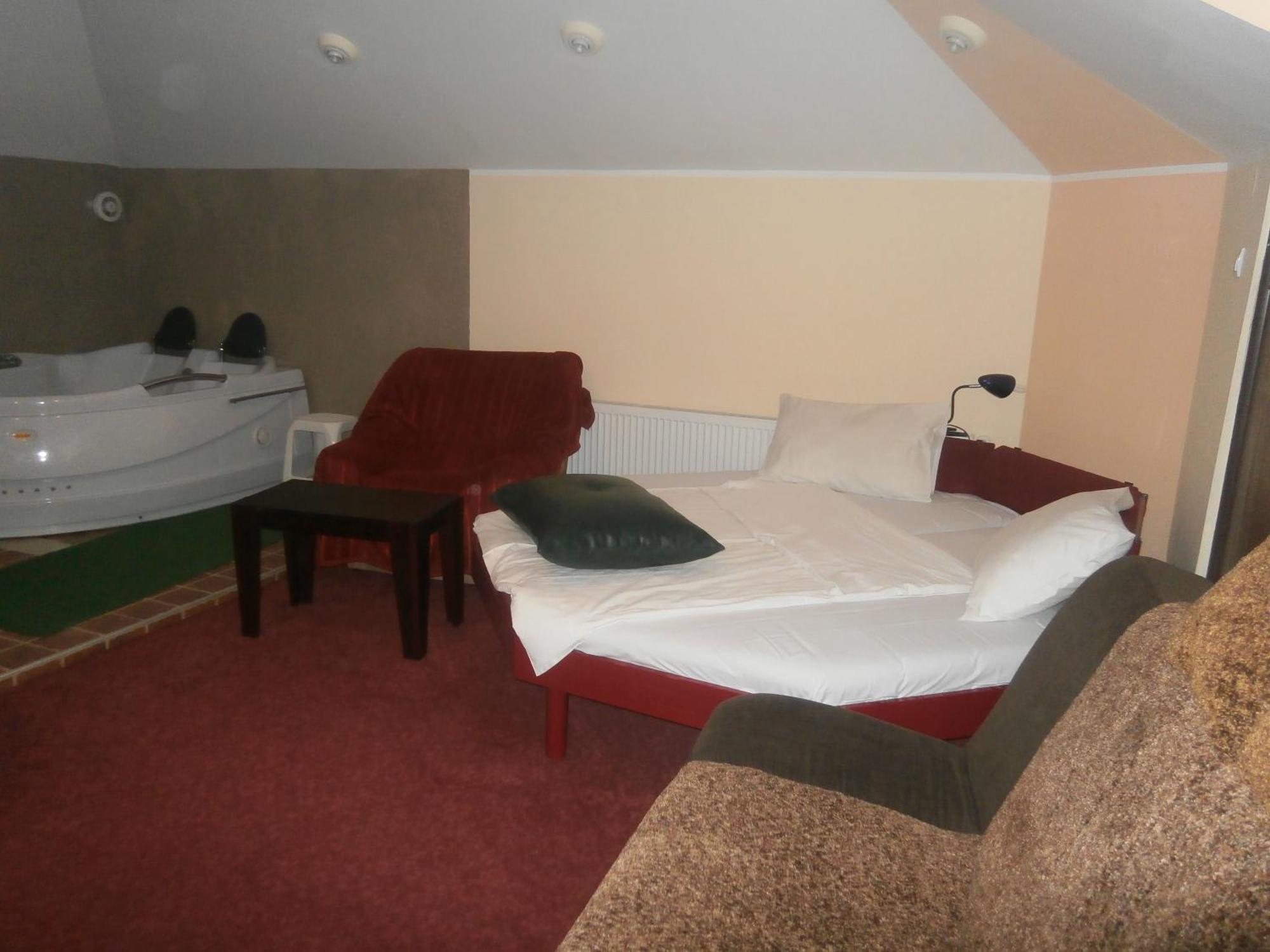 Hotel Vila Mitic Luxx Spa Centar Leskovac  Rum bild