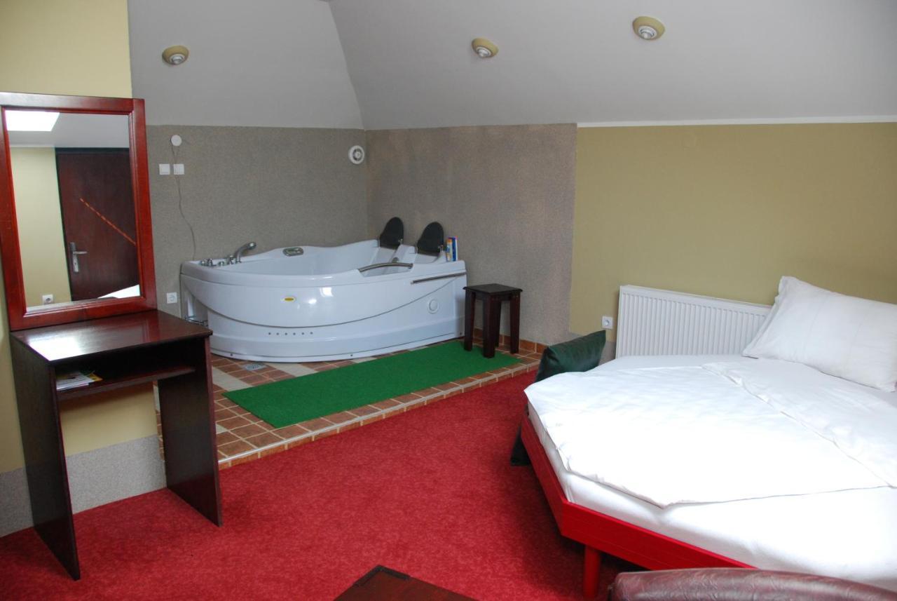 Hotel Vila Mitic Luxx Spa Centar Leskovac  Rum bild